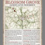 Blossom Grove (Almost) As You Remember It