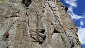 Notice the Climbers After A Second