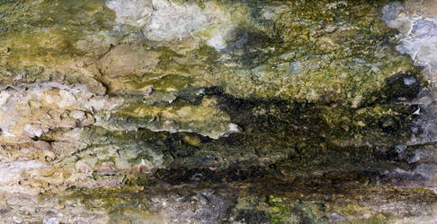 Hamilton Pool 7