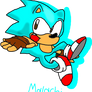 Malachi the Hedgehog