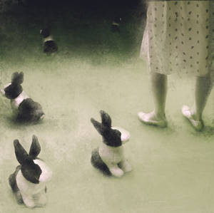 follow white rabbit