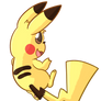 Pika Pi!