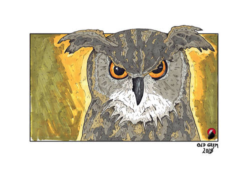 Great Horned Owl