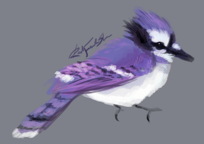 Smexy purple jay