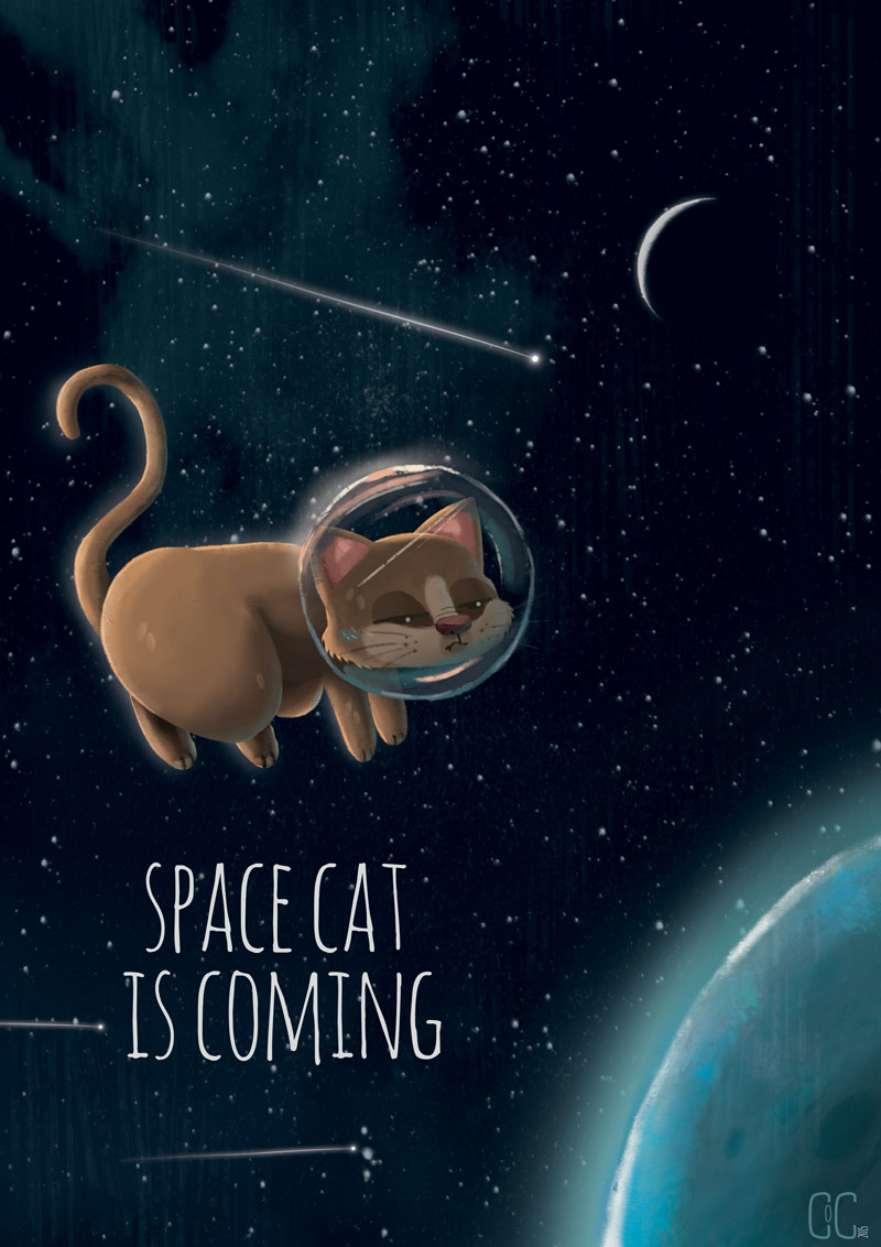 Space cat