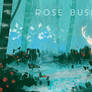 Rose bushes