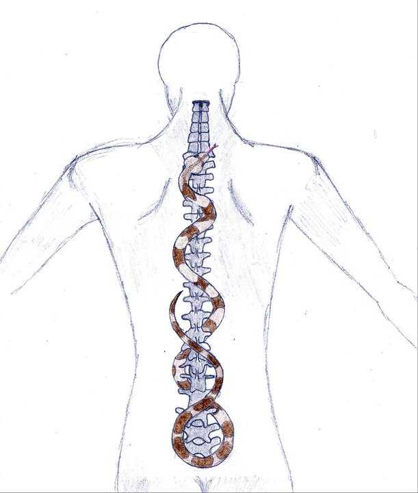 Tattoo Concept - Snake + Spine by tro0oy on DeviantArt Tattoo Concept - Snake + Spine by tro0oy on DeviantArt
