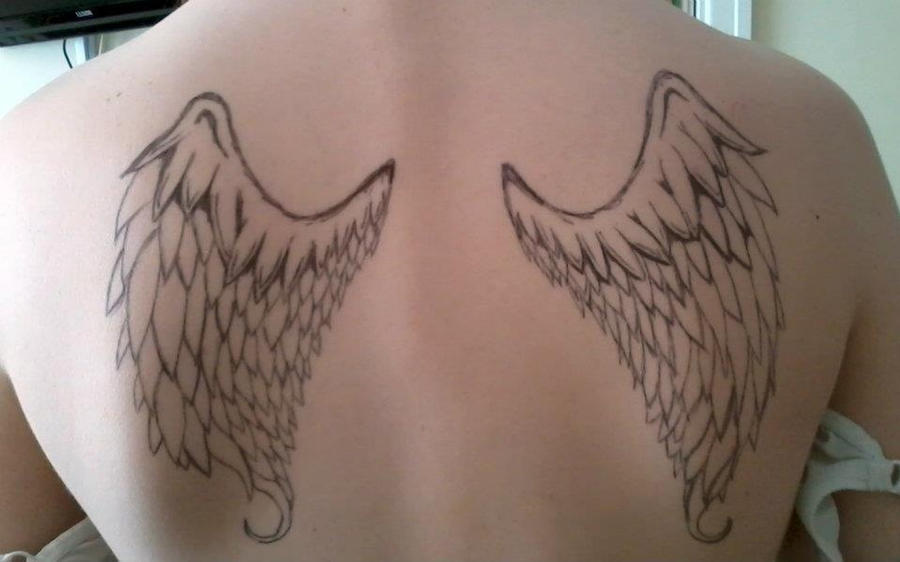 Wings tattoo concept