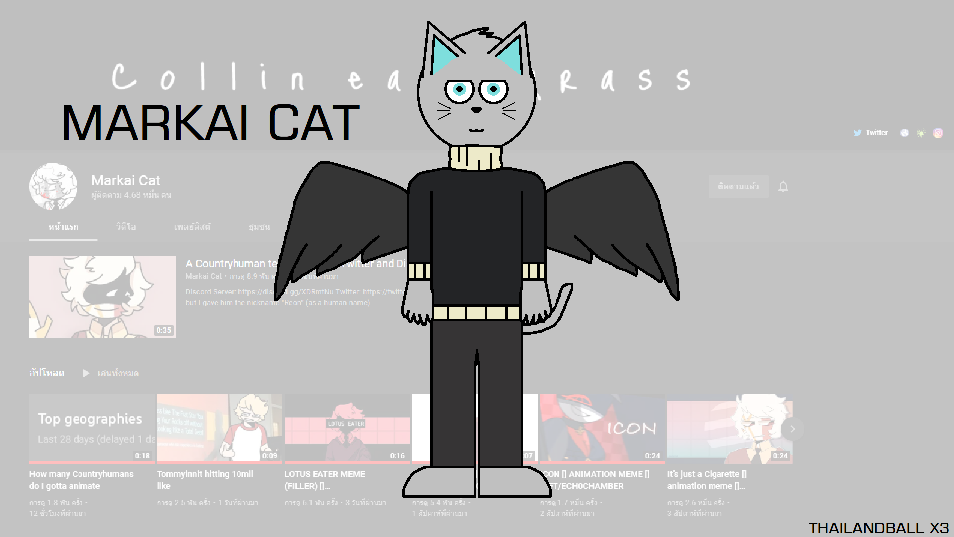 Merkin Cat Markai Cat by ThailandBallX3 on DeviantArt