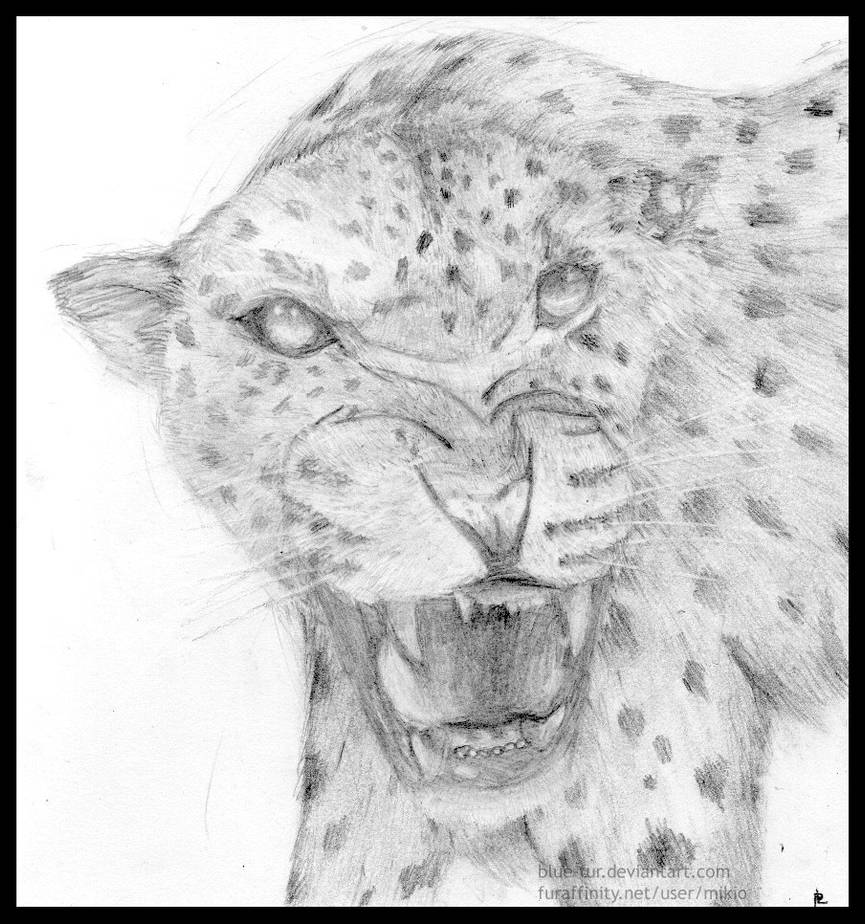 Indian leopard by Blue-Fur on DeviantArt