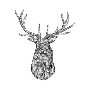 Stag