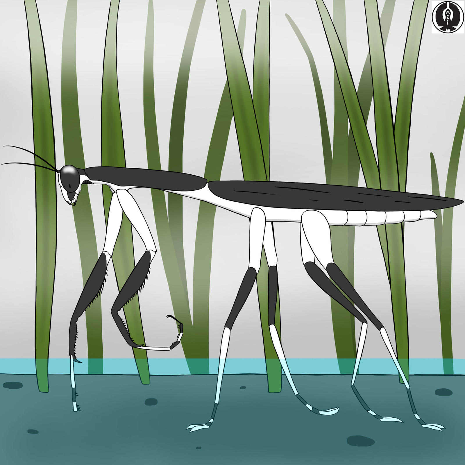 Mants Deviantart Stilt Mantis by Aliencon on DeviantArt