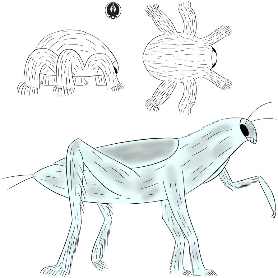 Pangea Ultima Life: Mountain insects by Aliencon on DeviantArt