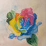 Rainbow Rose