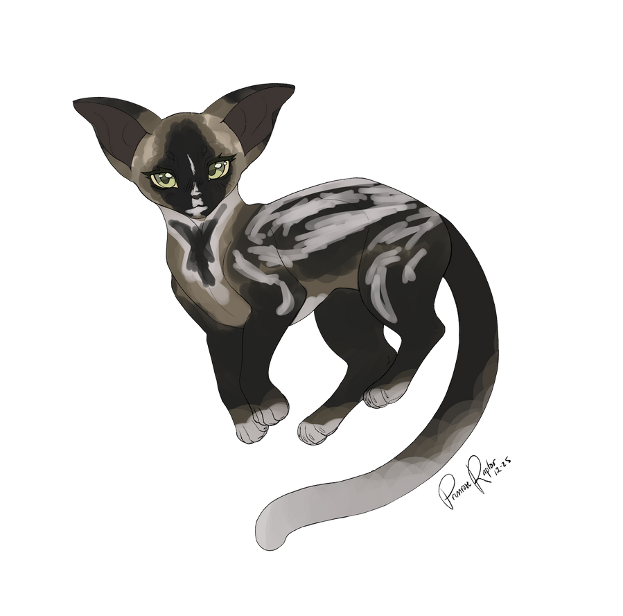 75 Point Cat Adoptable | OPEN by 1nightmareash1 on DeviantArt