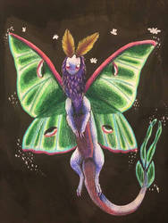 Luna Moth Dragon