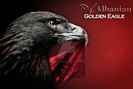 Albanian 'Golden Eagle'