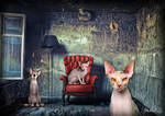 Sphynxroom by BrusselsGraphic