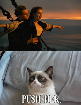 Grumpy Cat Watches Titanic