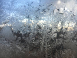 FrostedWindow