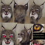 Canadian Lynx fursuit head