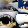 Snarly Mask with jawset