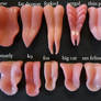 New tongue comparison