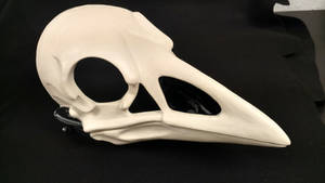 Cut and Hinged Skeletal Crow Mask