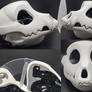 Toony Skull K9 Resin Blank