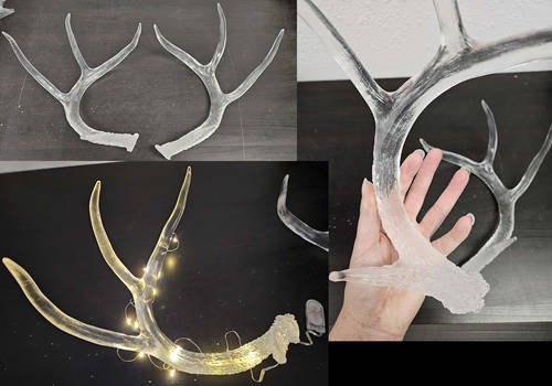 Clear Whitetail Antlers