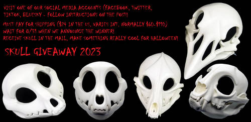 Skull Giveaway 2023