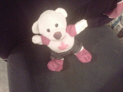 My Build-A-Bear