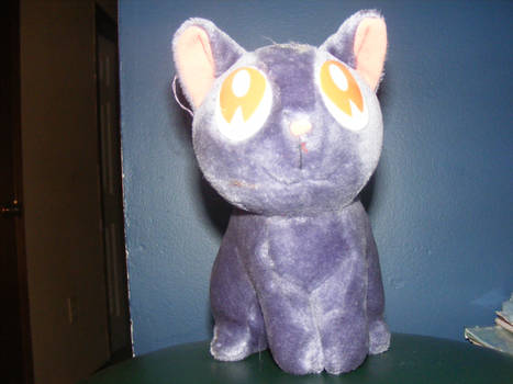 Anime kitty for sale