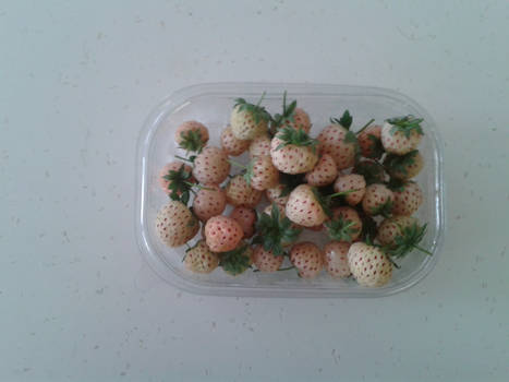 White strawberries