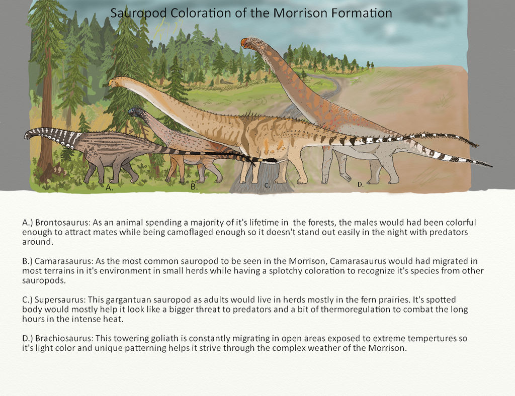 Sauropod colorations of the Morrison