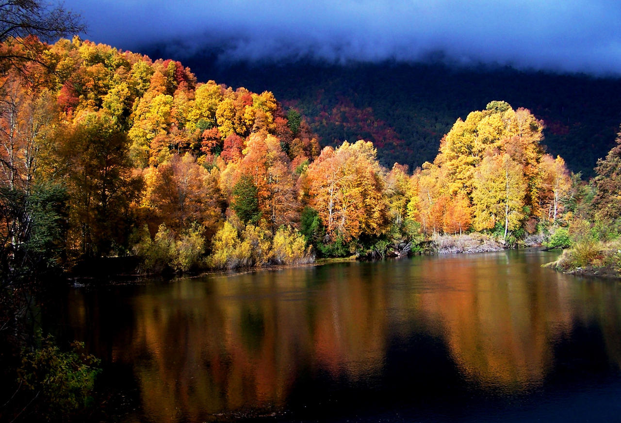 autumn in pirihueico