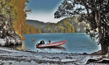 picknick at the lake puyehue