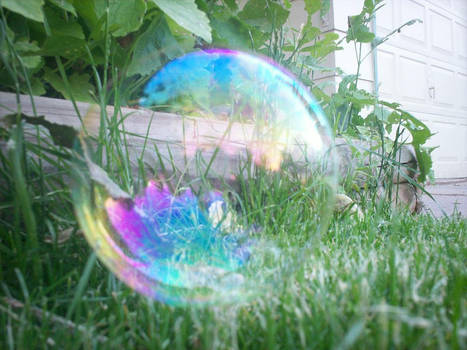 Bubble