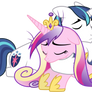 Shining Armour Supports Princess Cadance (1)