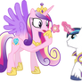 Shining Armour Proposes to Princess Cadance