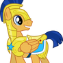 Flash Sentry