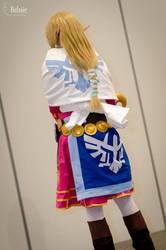 Zelda Skyward Sword - Back View