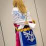 Zelda Skyward Sword - Back View