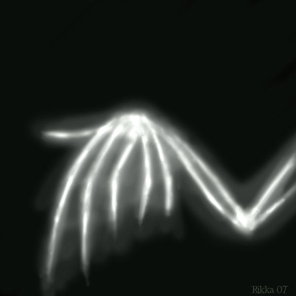 X-ray wing by Kraven-foxy on DeviantArt