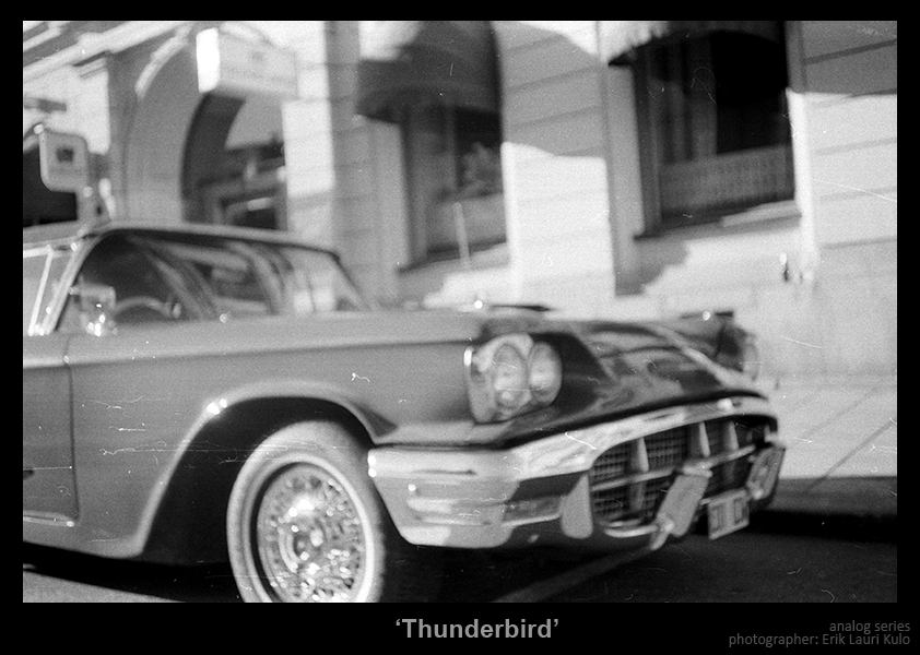 Thunderbird