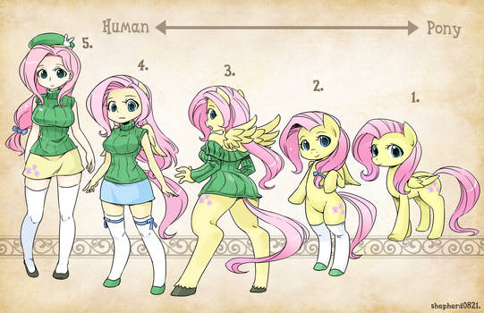 Types-Fluttershy