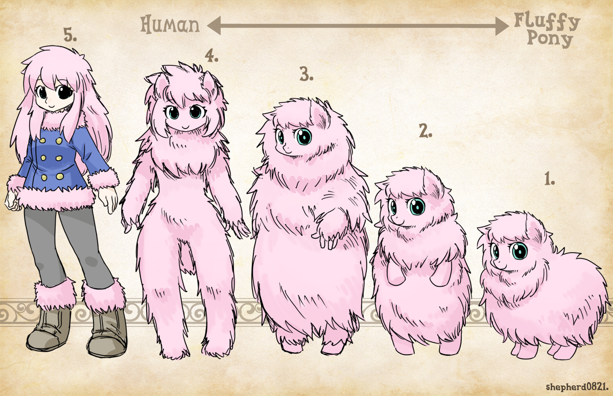 Types Fluffy Pony by shepherd0821 on DeviantArt