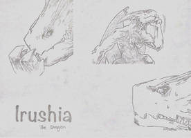 Irushia