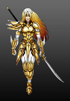 Goldronin's Armor