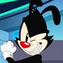 Yakko Warner